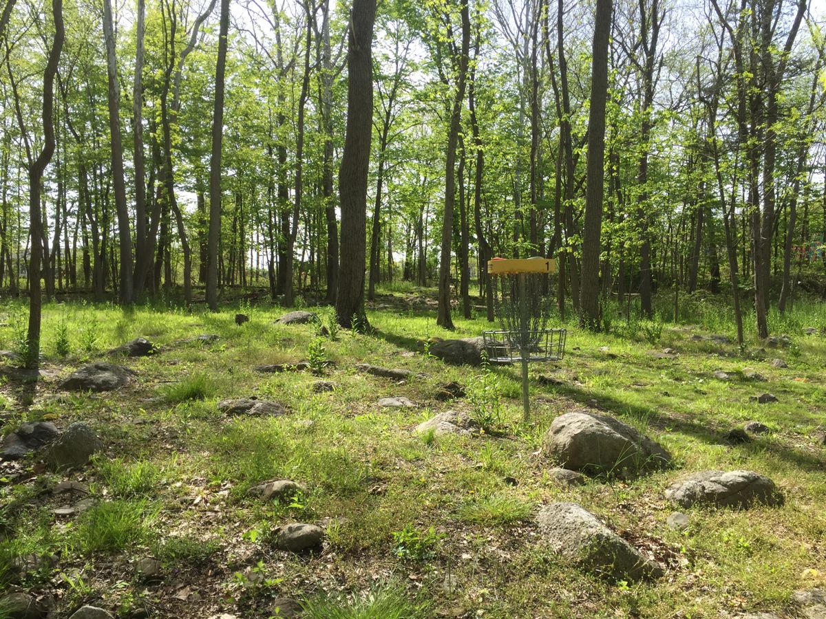 hole one basket looking back up the fairway towards the tee