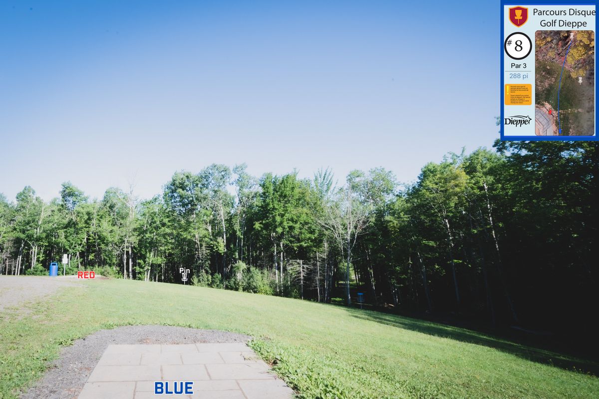 Hole 8 Blue Tee
