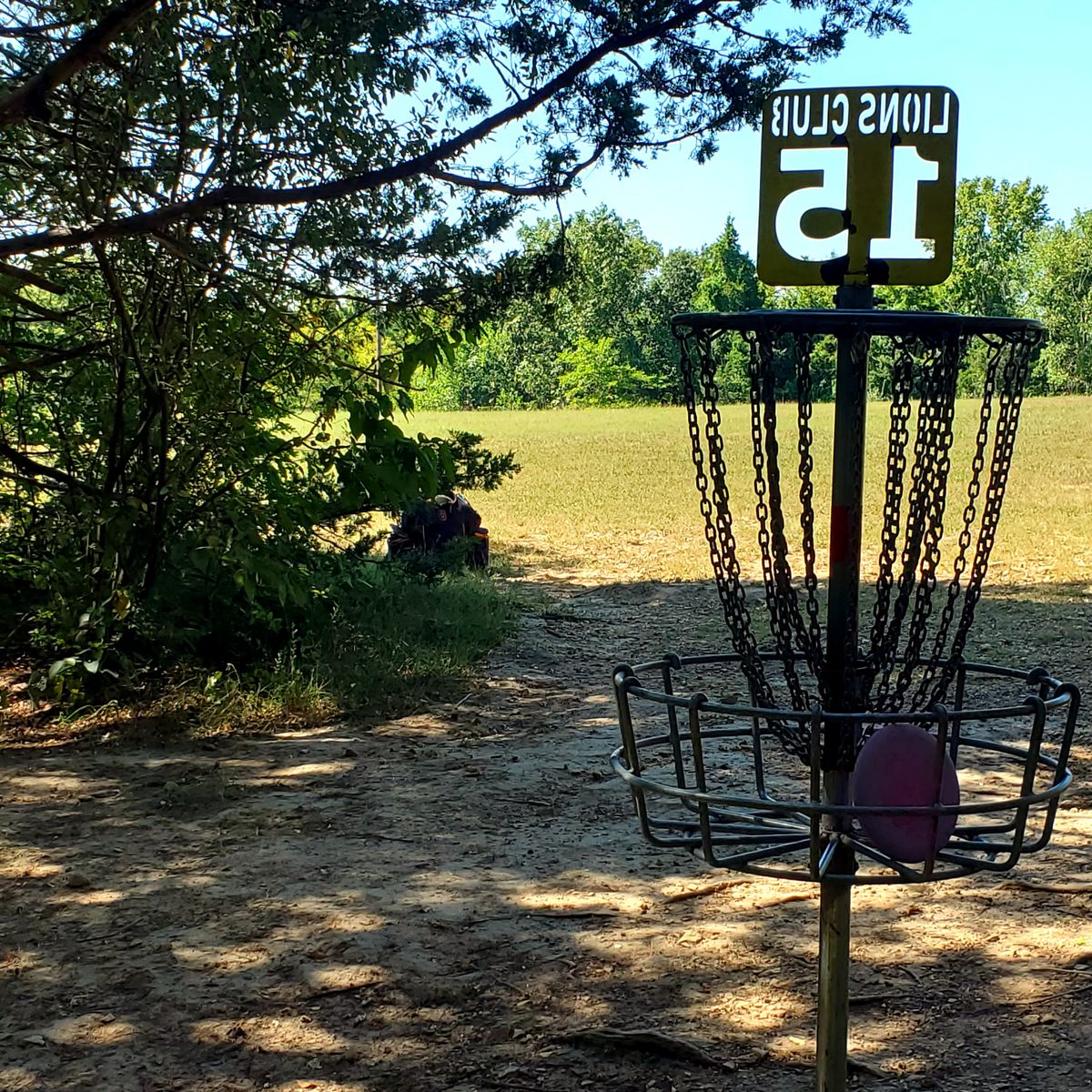 Hole 15