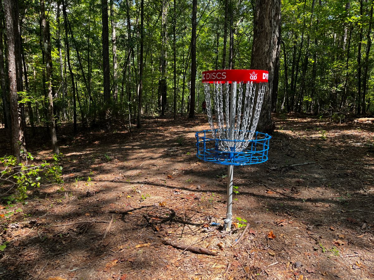 Hole 17 basket
