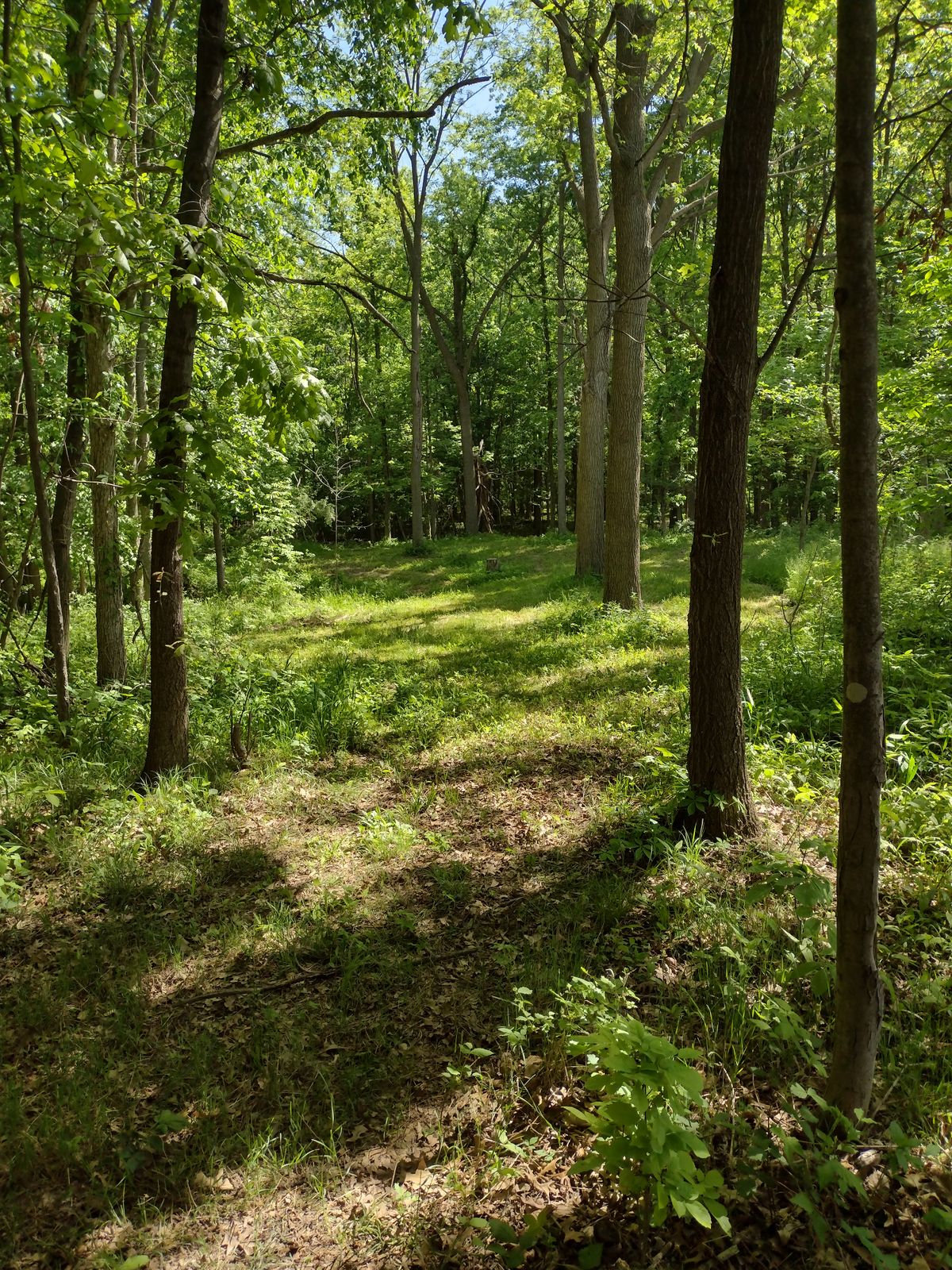 Tee from hole 1
