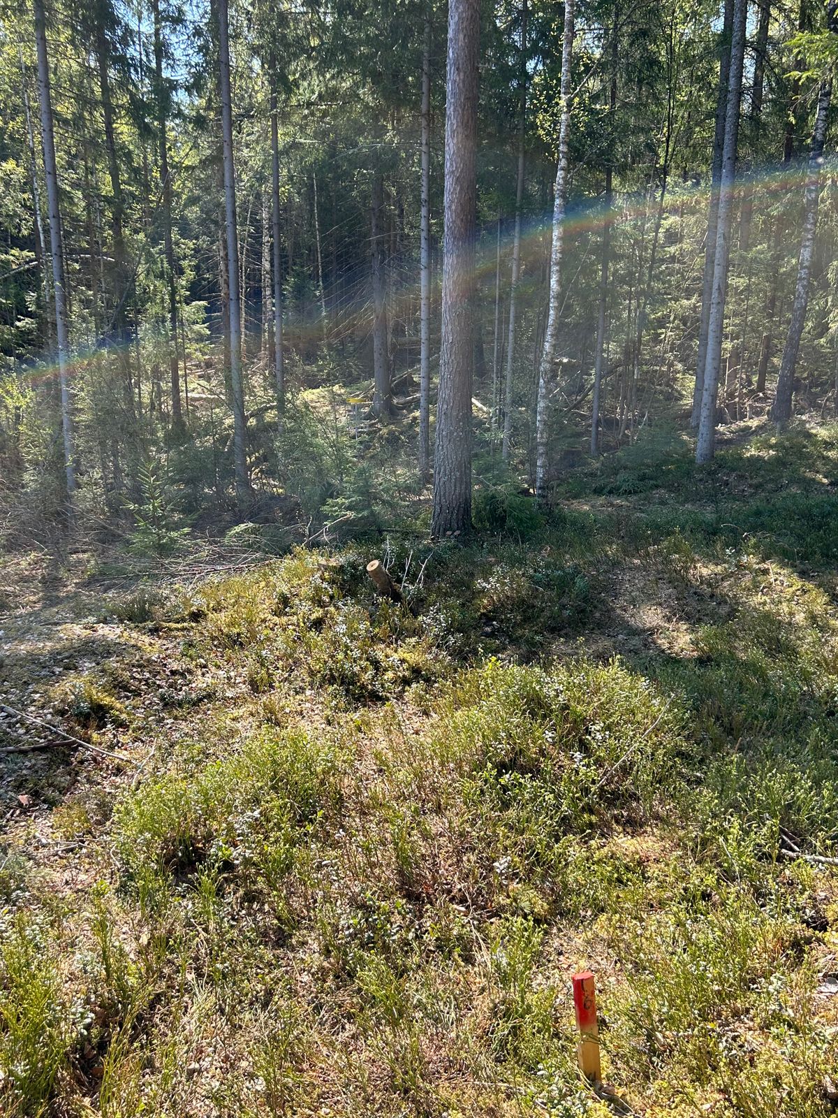 Utkast til øy hull 6.