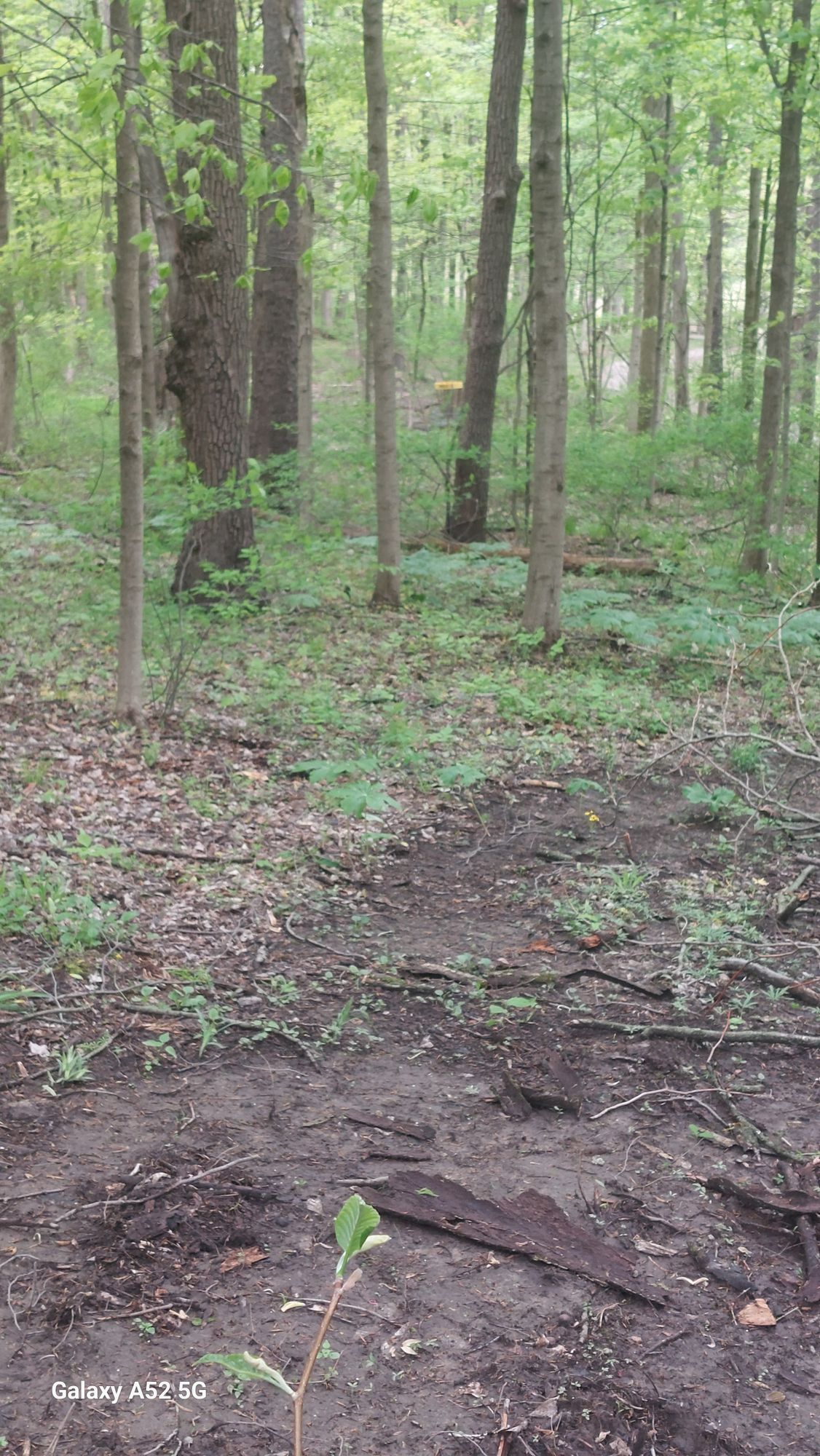 Hole 5