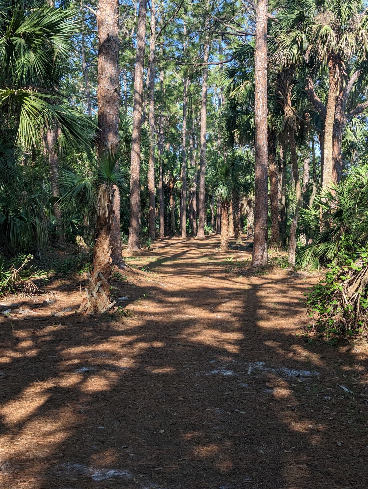 Hole 4 Fairway