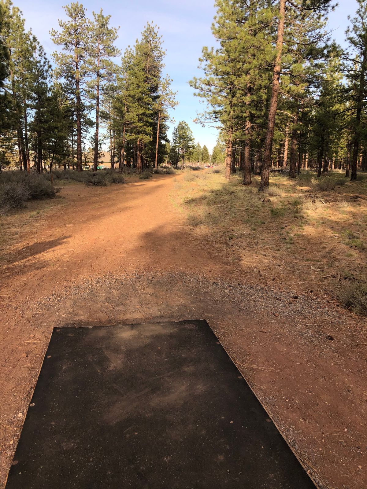 18 tee to basket