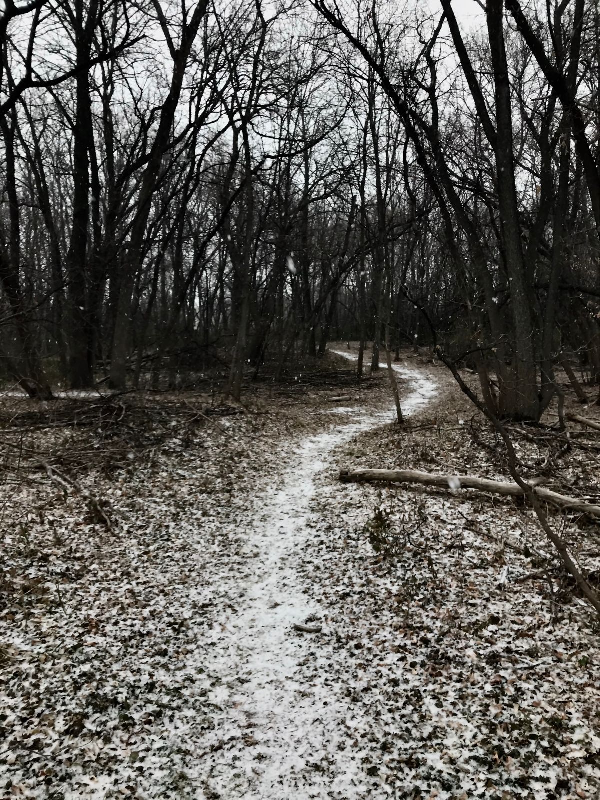 Path near tee pad of hole 6