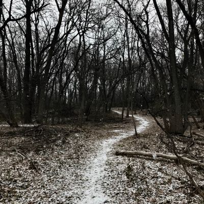 Path near tee pad of hole 6