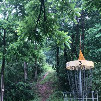 Hole 3 basket