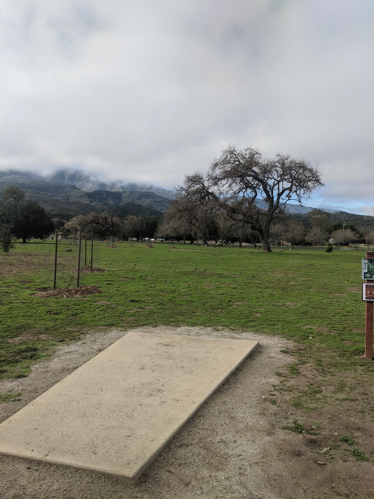 Hole 2 tee pad