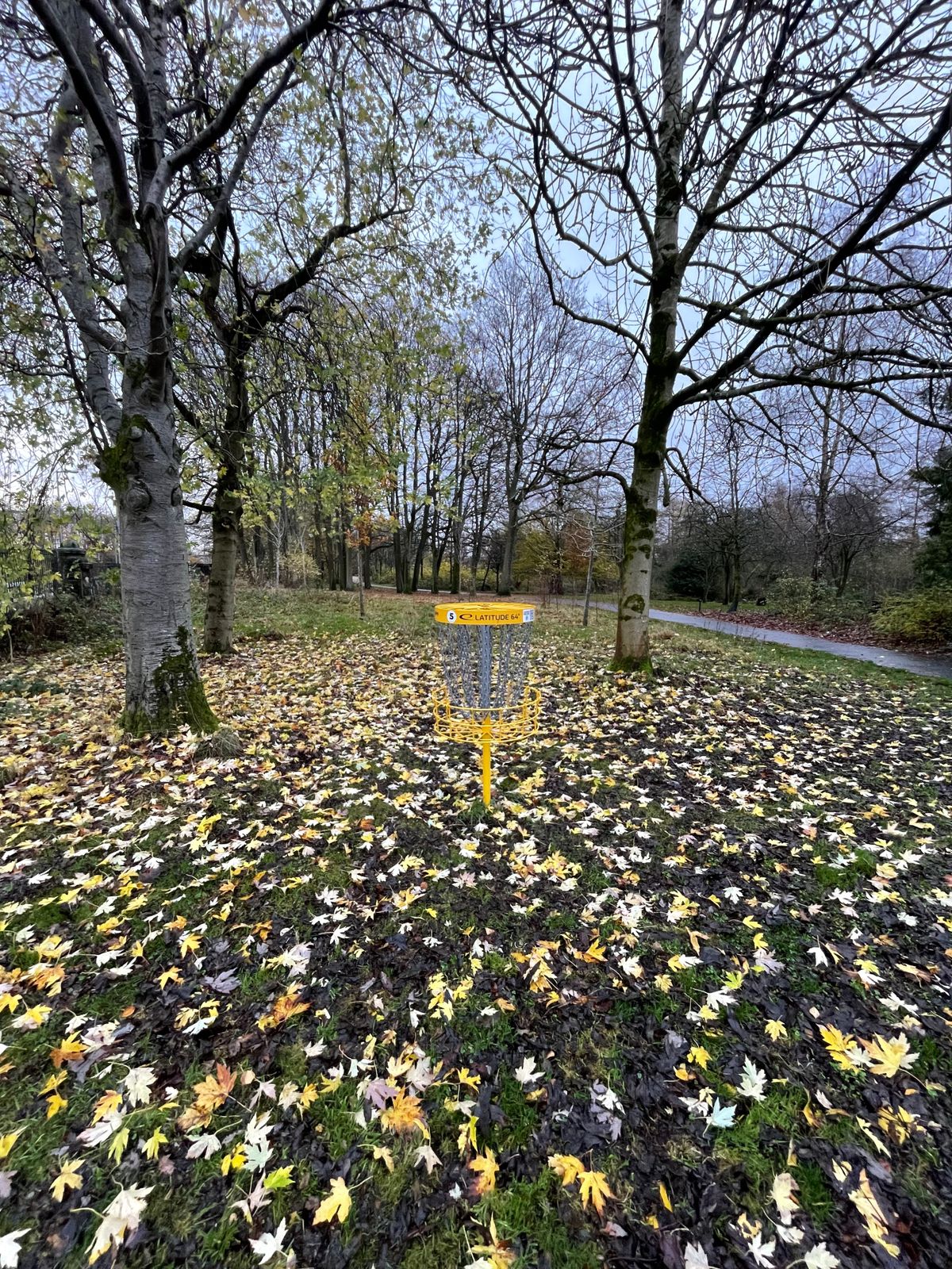 November and the leaves have fallen