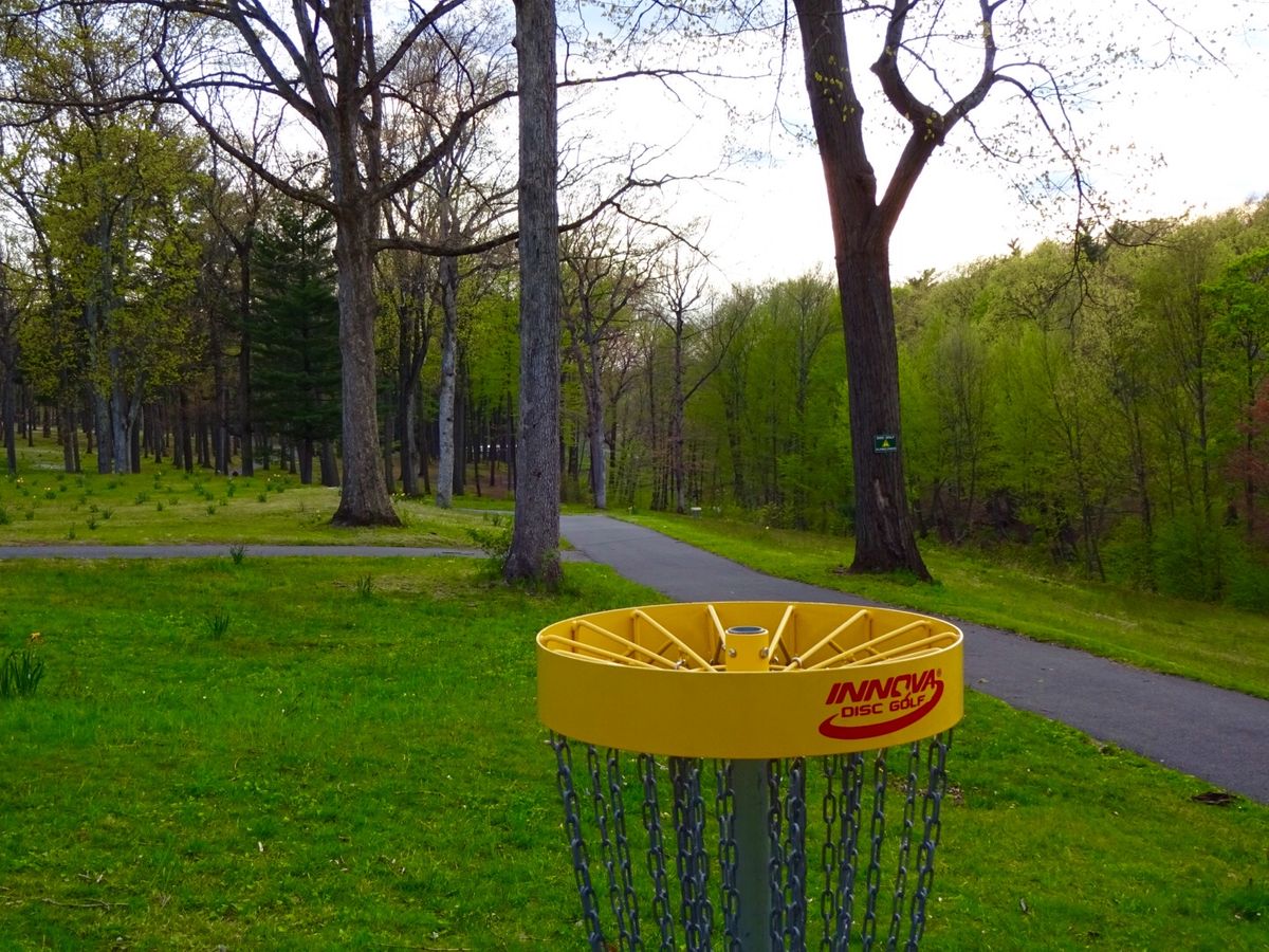 Hole 4B basket looking back at the tee