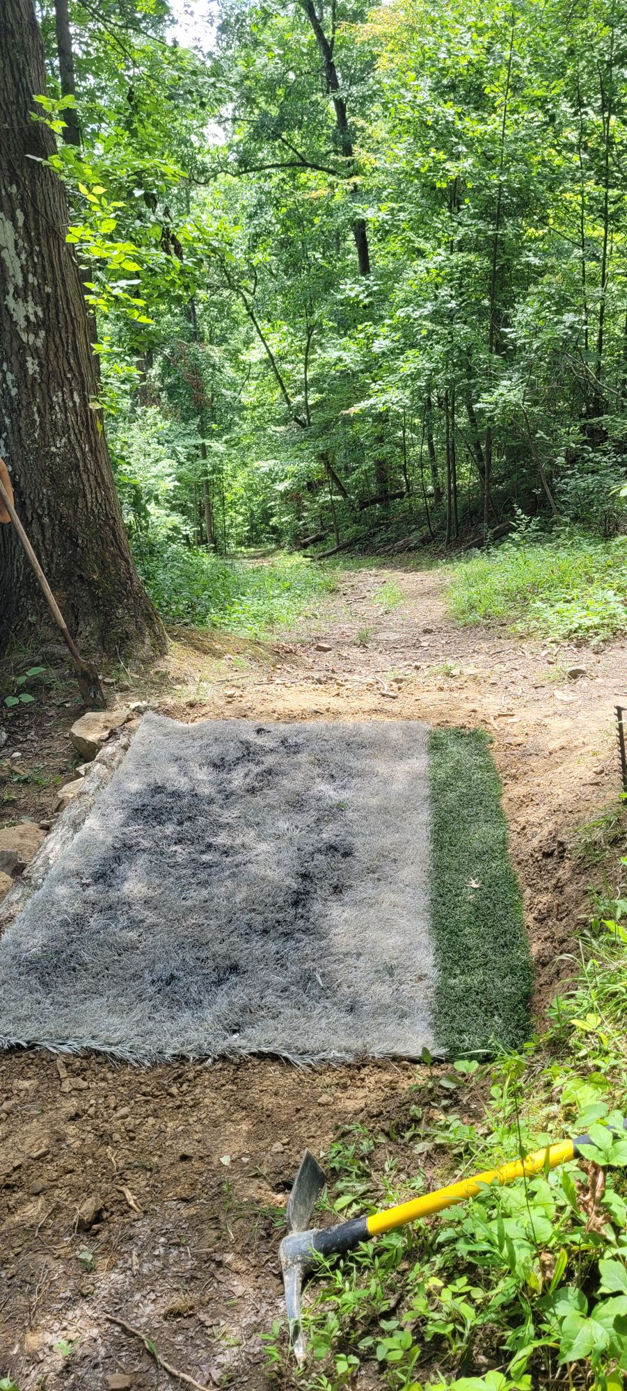 Hole 15
