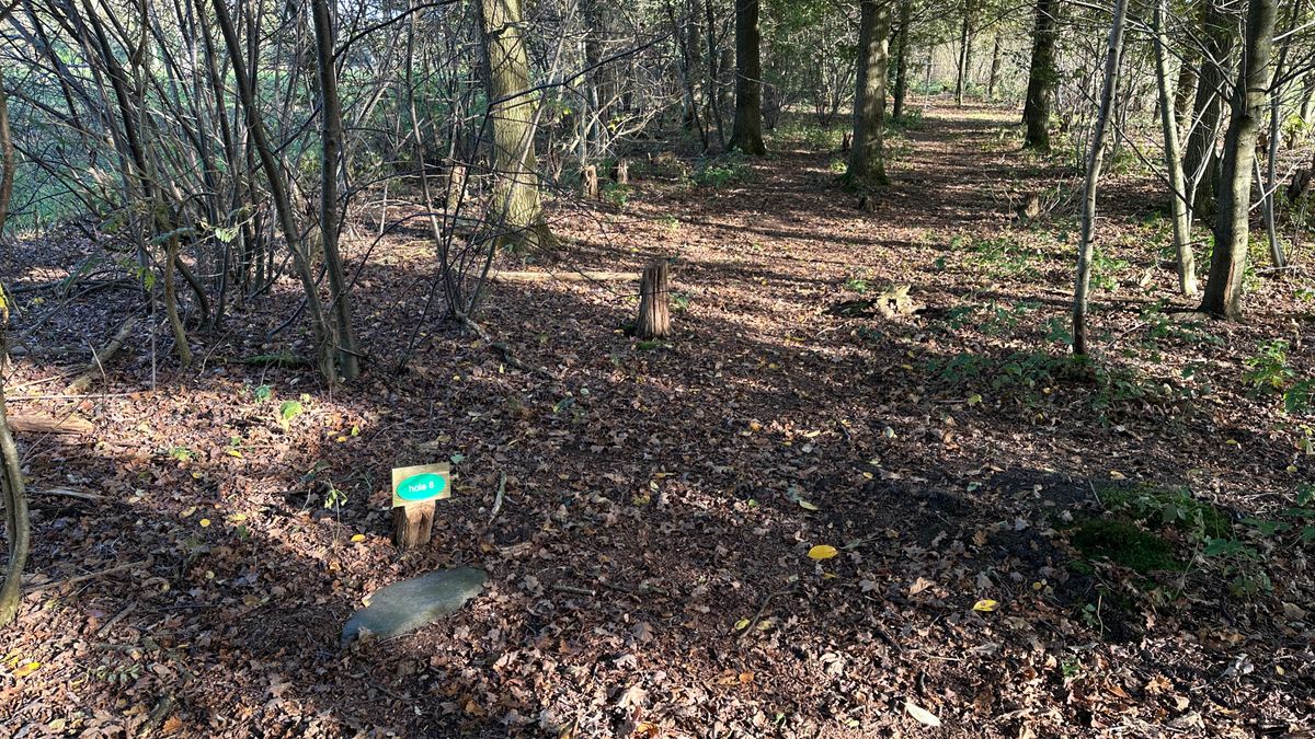 Hole 8