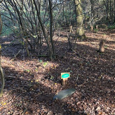 Hole 8