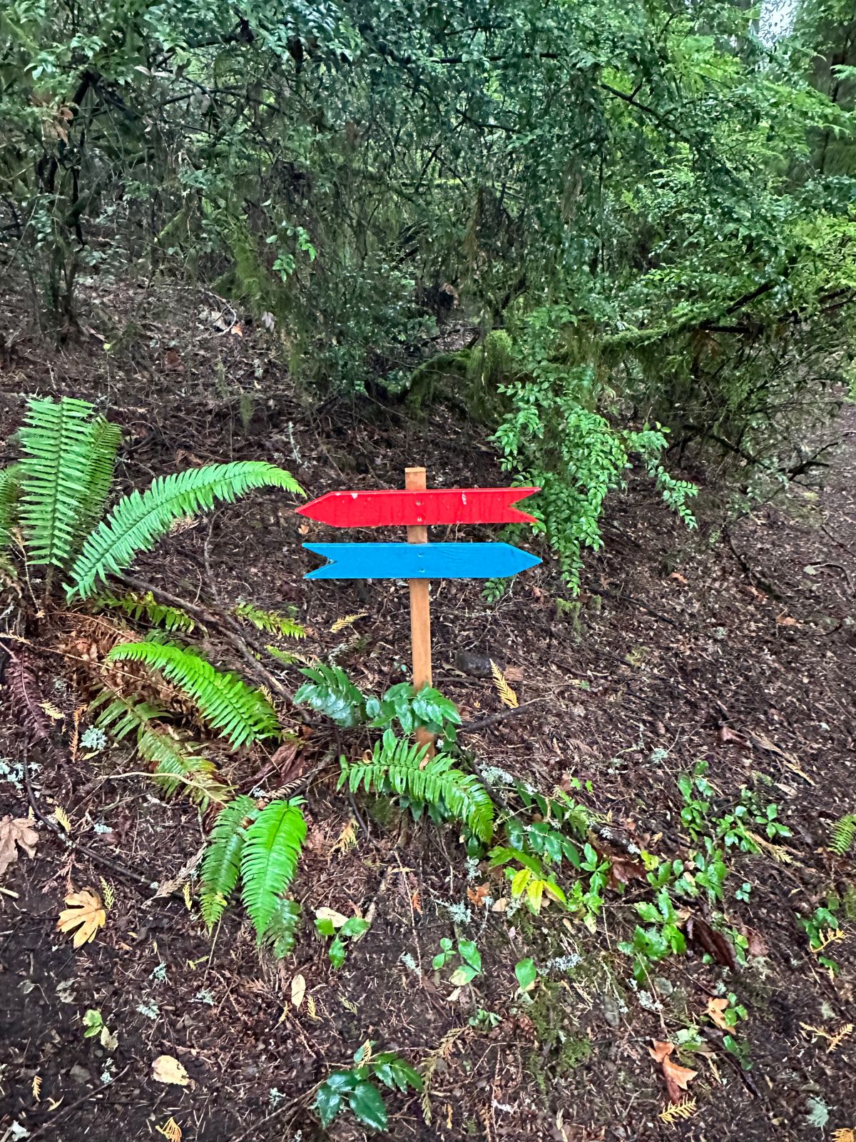 Well marked