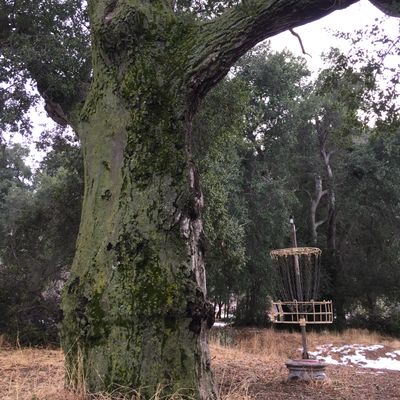 Hole 8