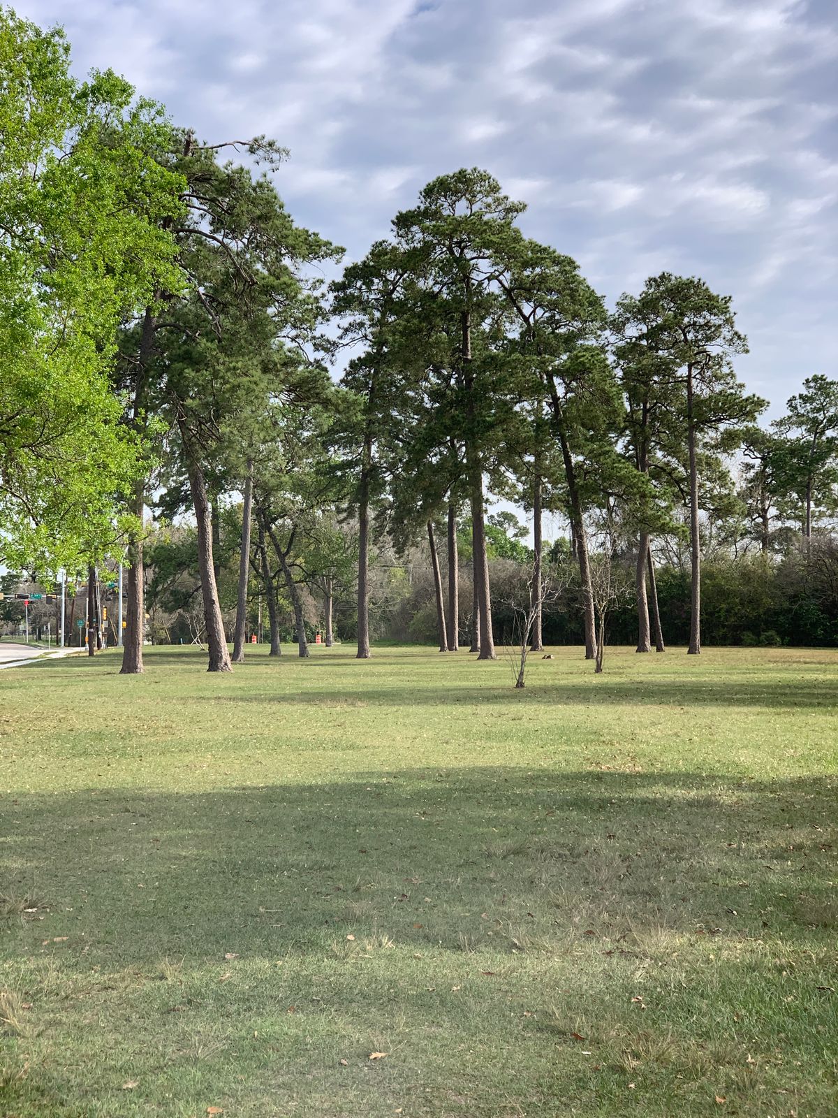 Hole 8 zoom