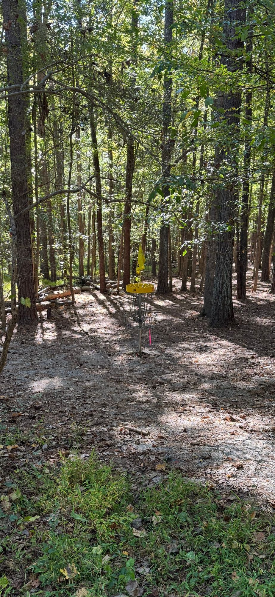 Hole 10A pin location (par 4)