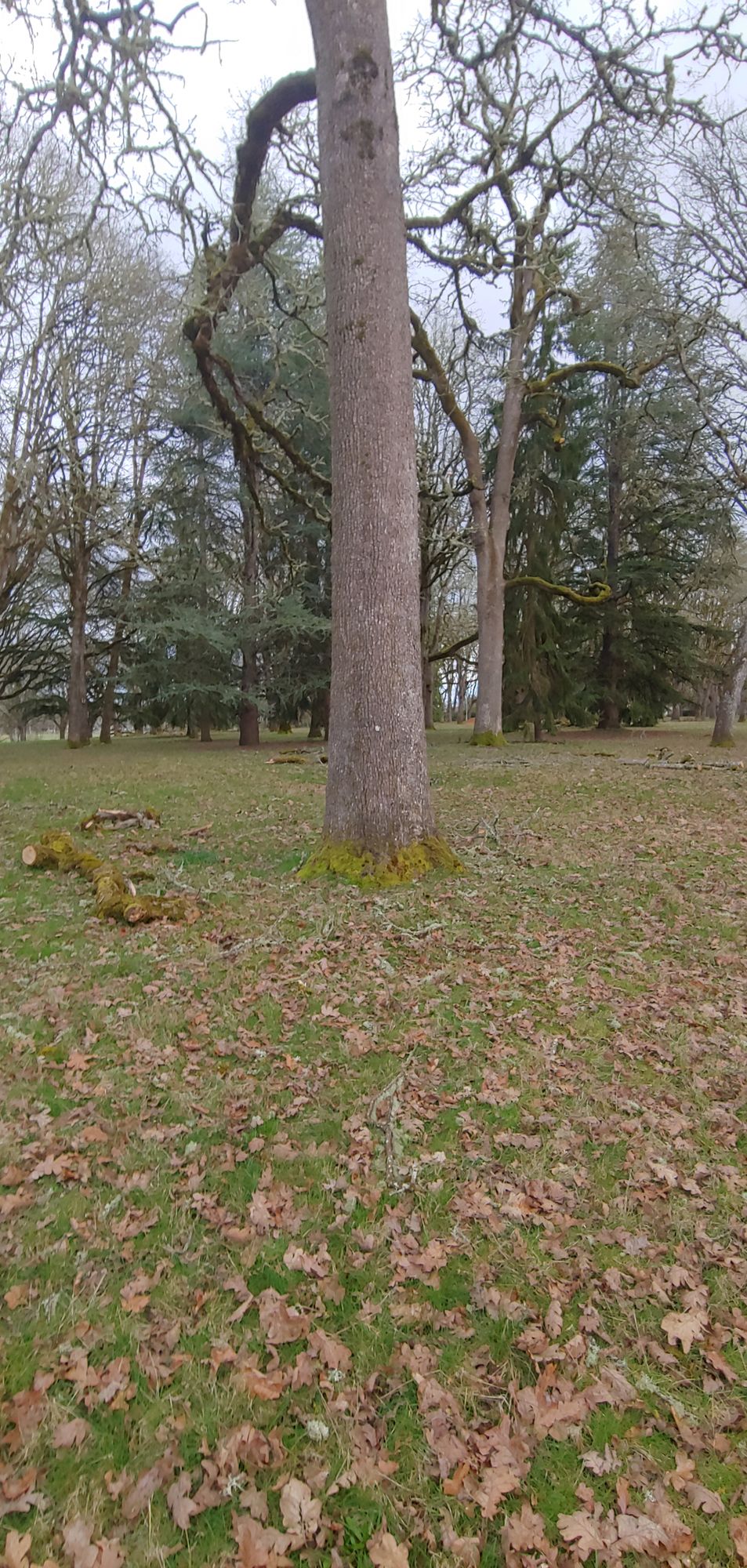 Hole 5