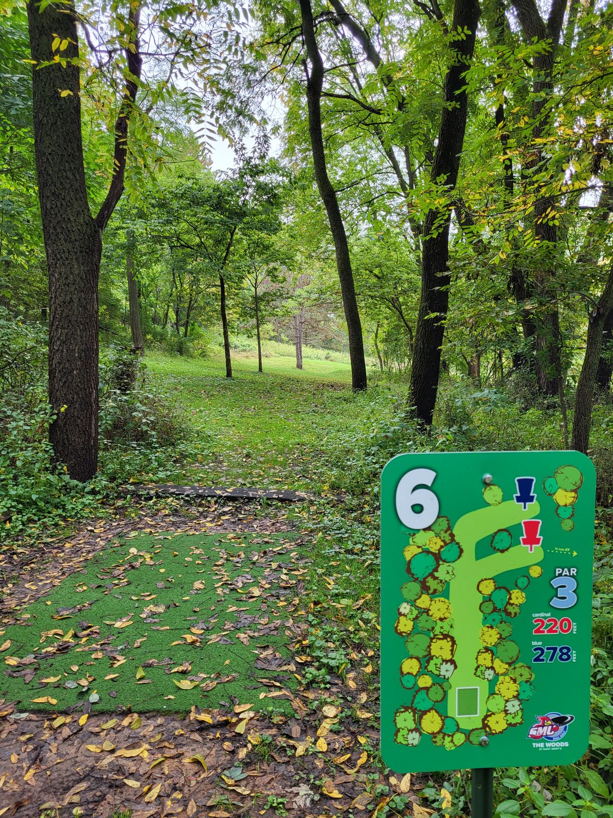 #6