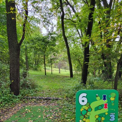 #6