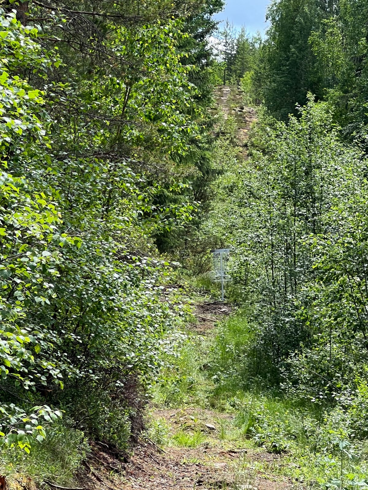Hål 5