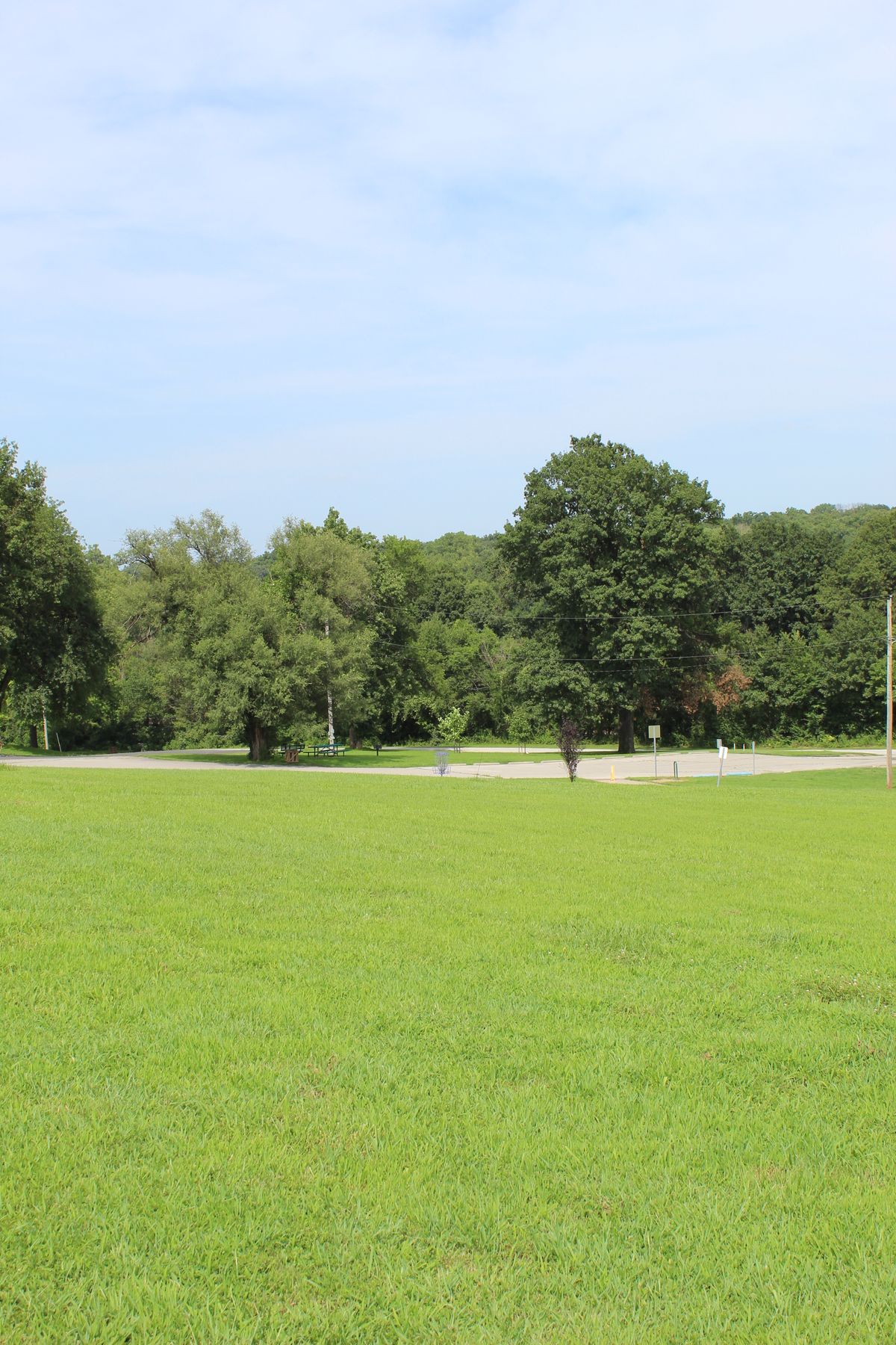 Hole 8 (Basket)
