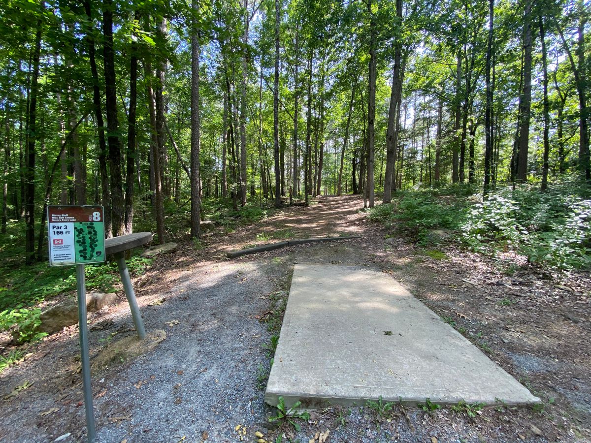 Hole 8