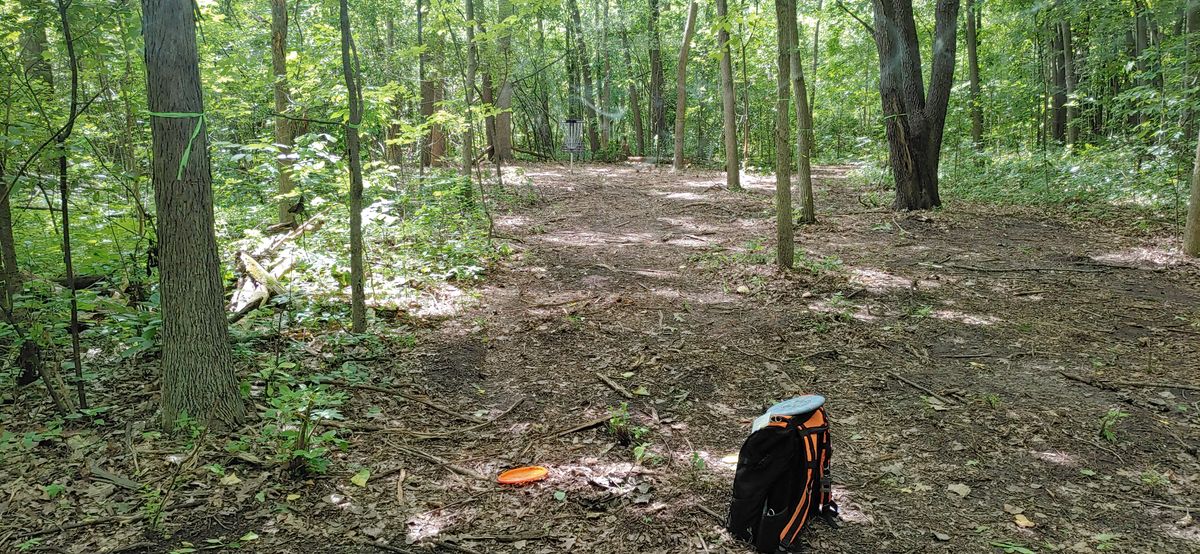 Hole 5 fairway
