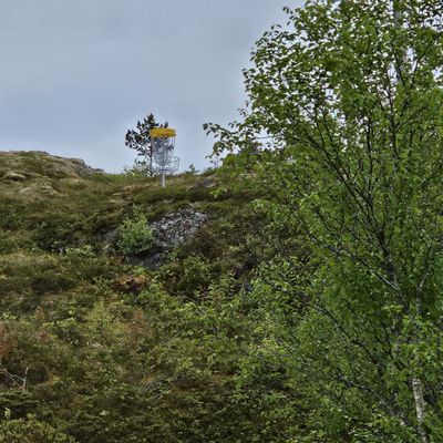 Her går det bratt oppover til under kraftlinja.