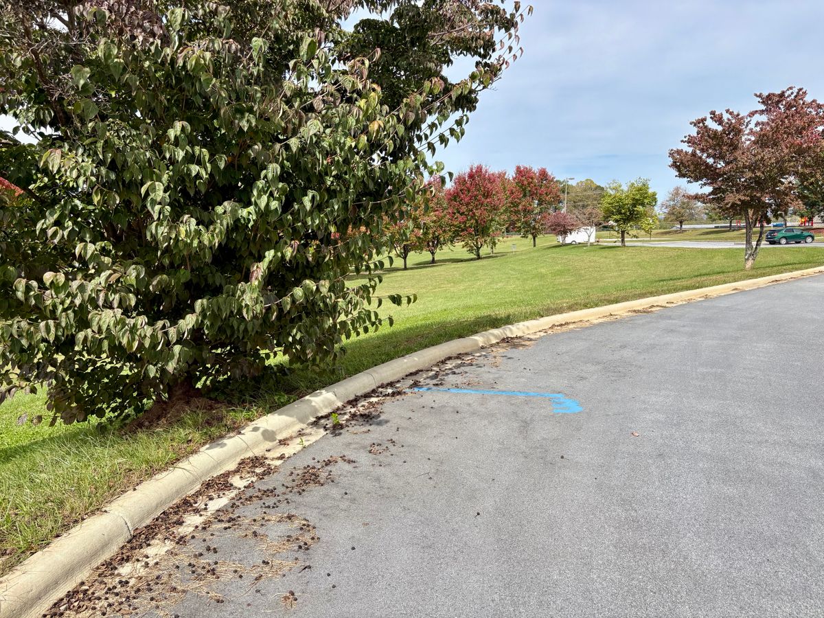 Hole 3 tee