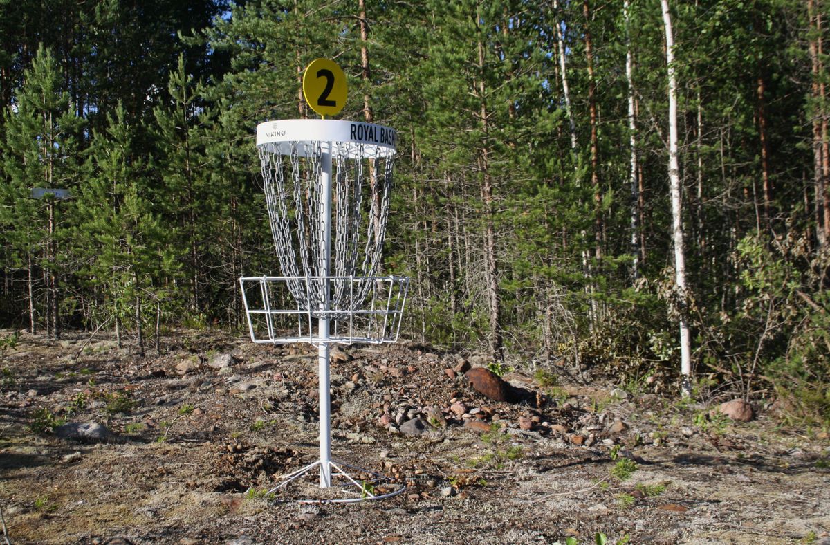 Radan korit ovat Viking Discs Royal -merkkisiä maalikoreja.