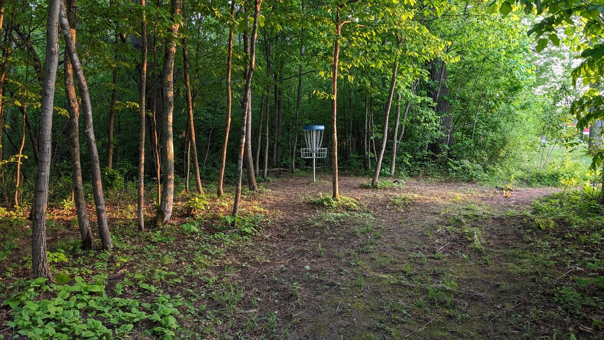 Hole 8 Basket