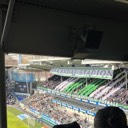 bolla81
