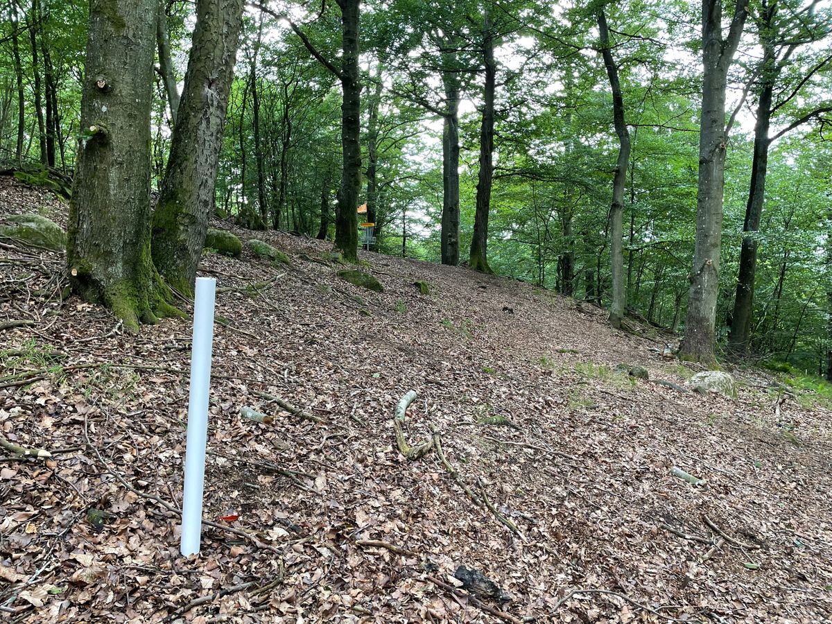 Up the hill to get to the difficult green on Skogsbanan, hole 15 (par 4)