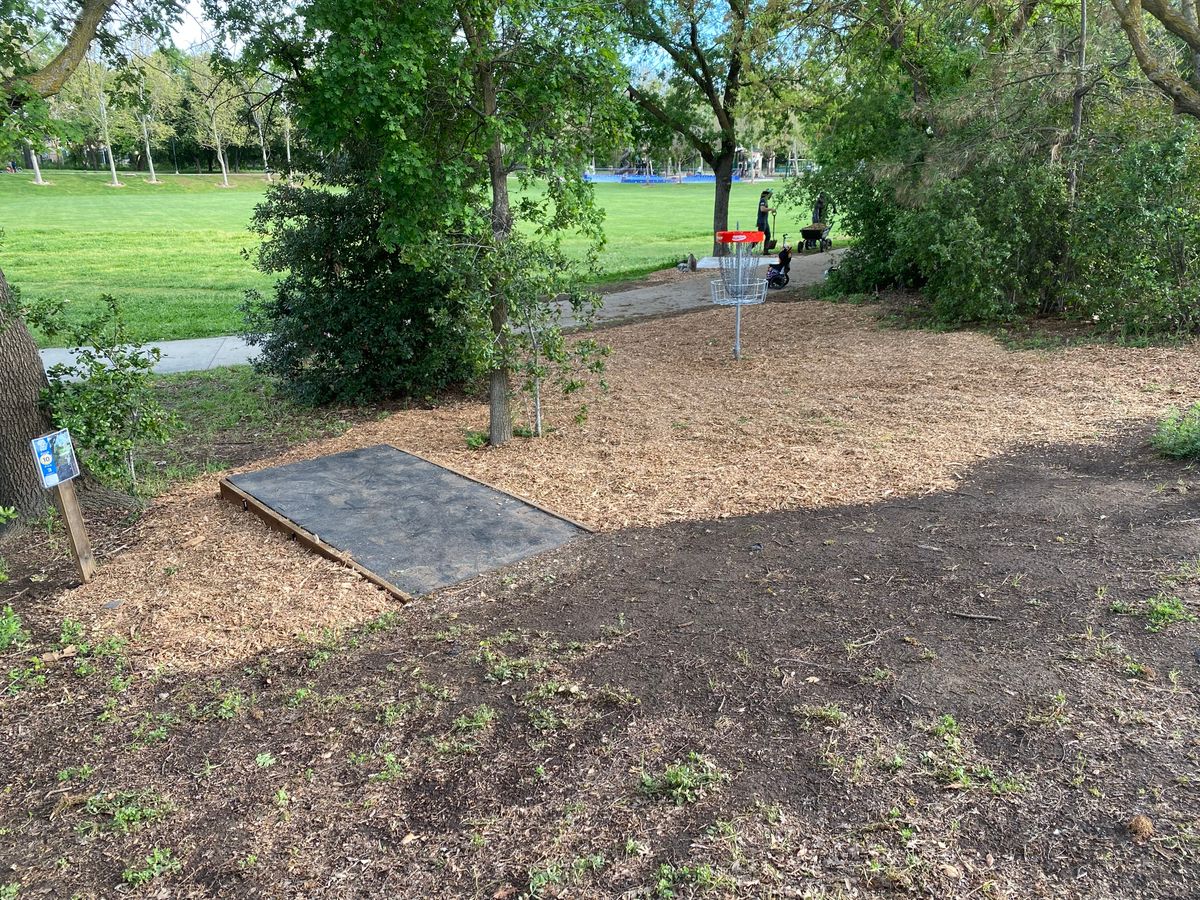 Tee Pad #10 and Basket #18