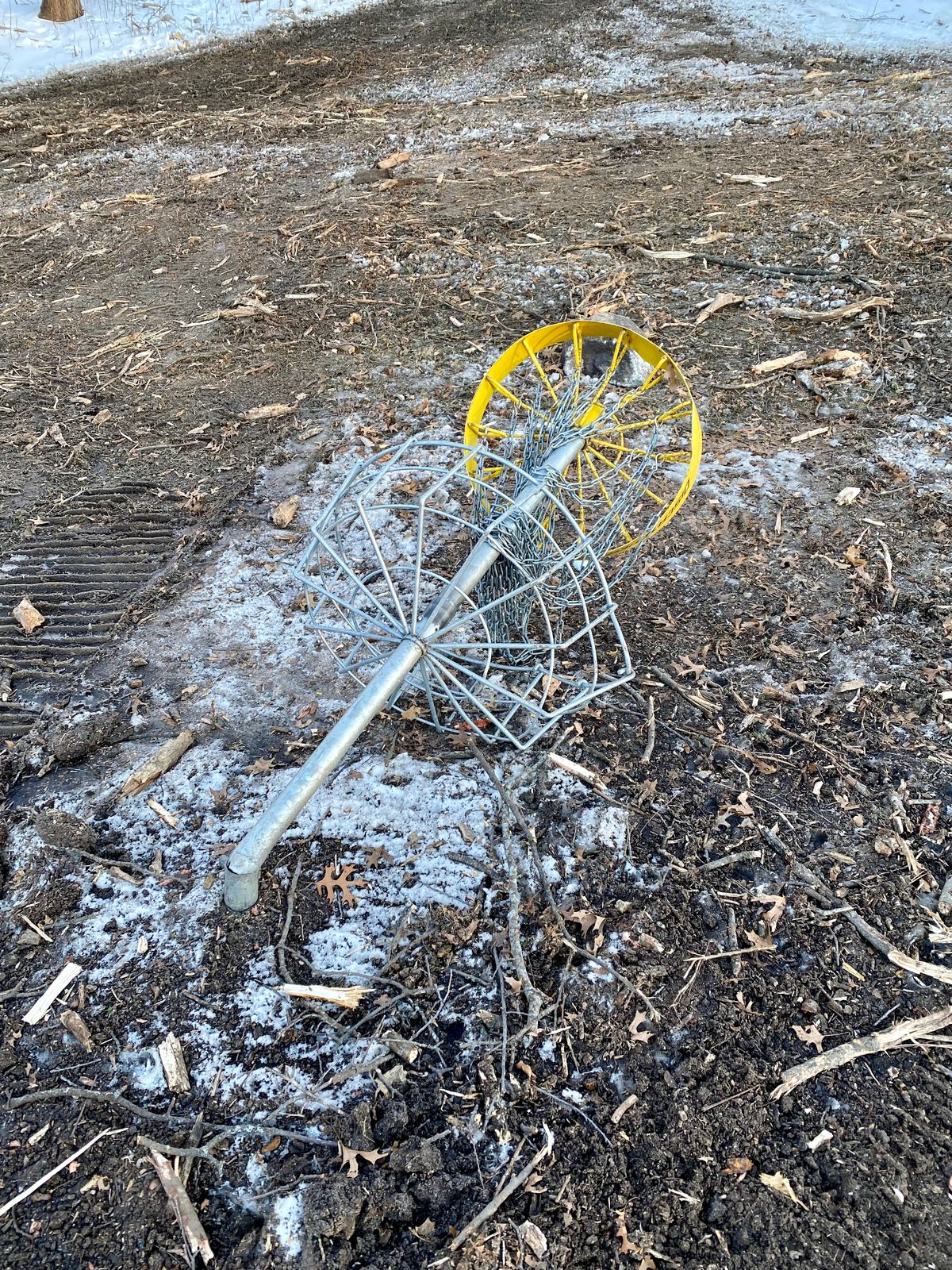 Basket 1 in dire condition - Feb ‘26