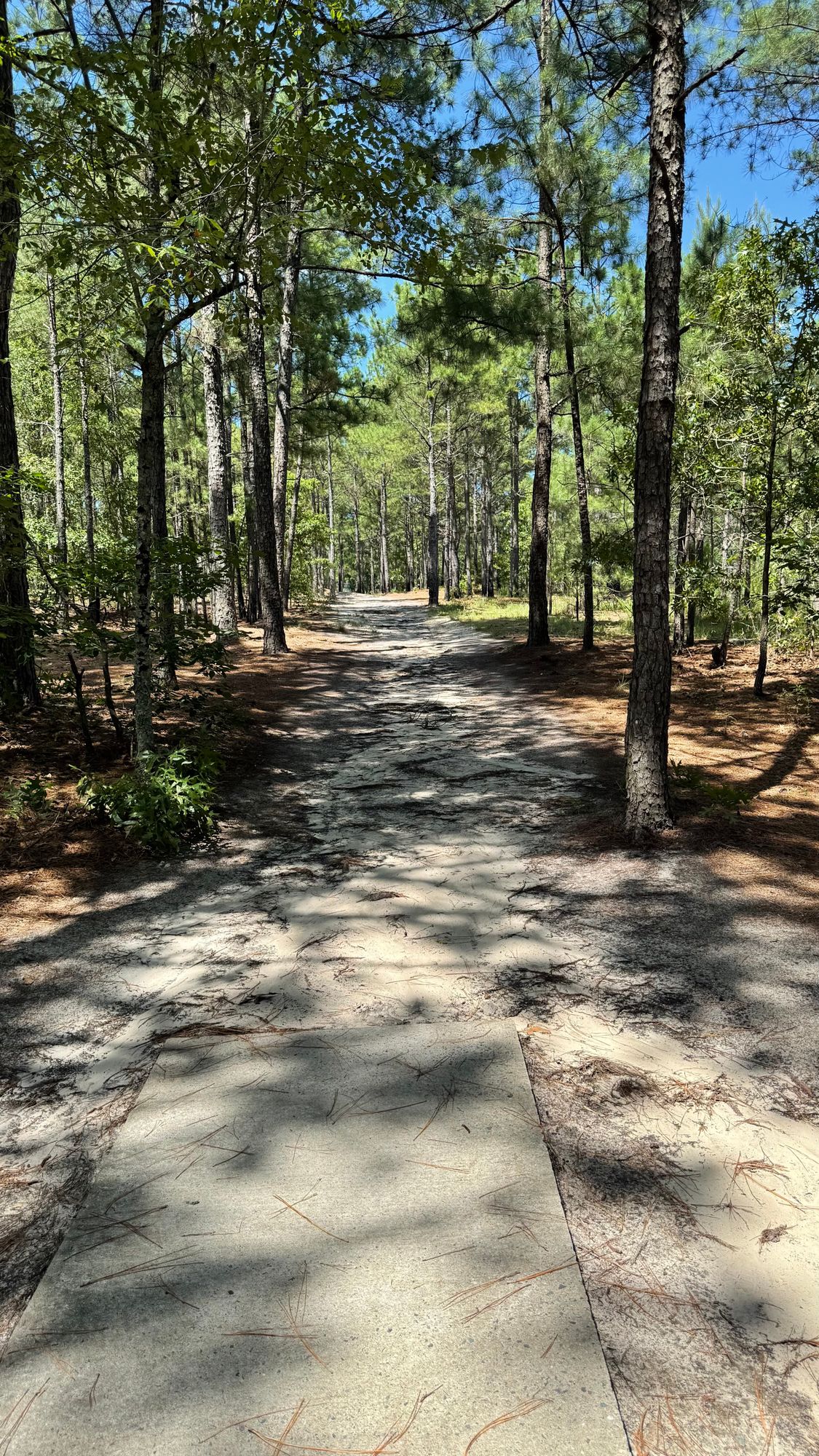 Hole 2 Tee Pad