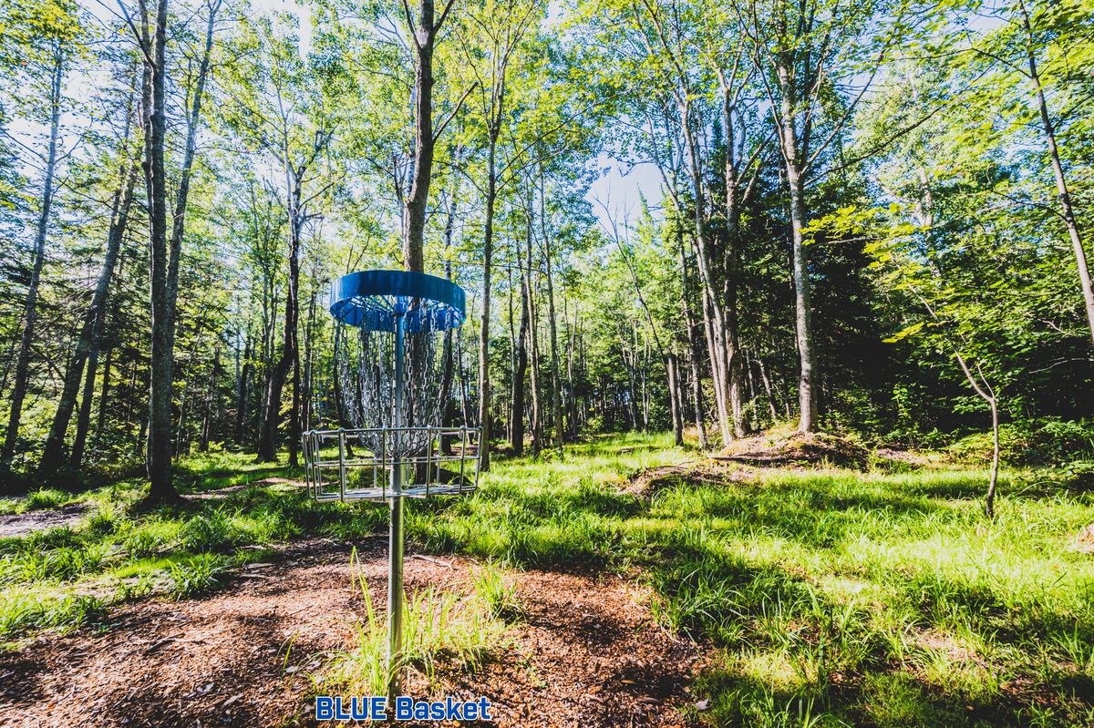 Hole 9 Blue Basket looking towards tees. 