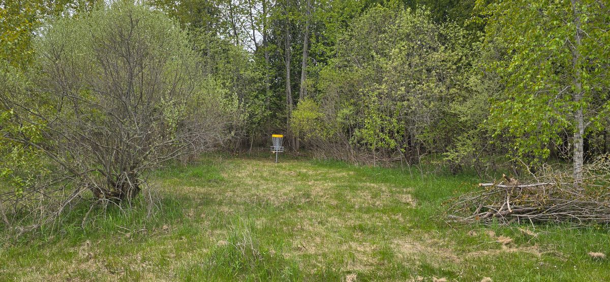 Hole 1 basket