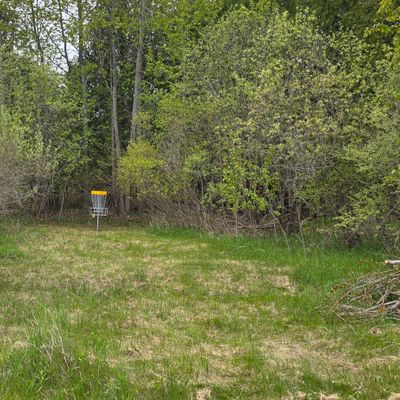 Hole 1 basket