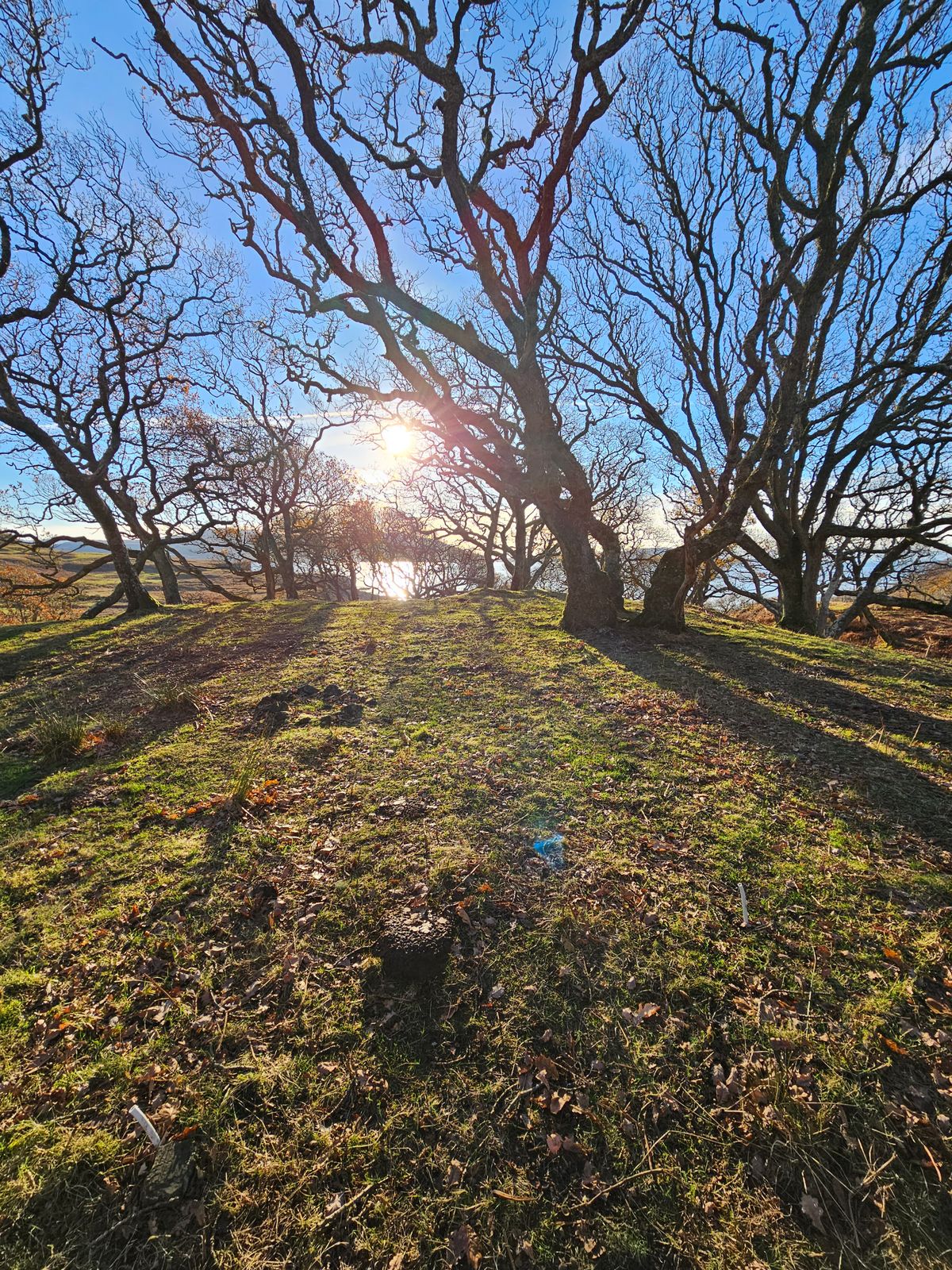 Hole 9 tee