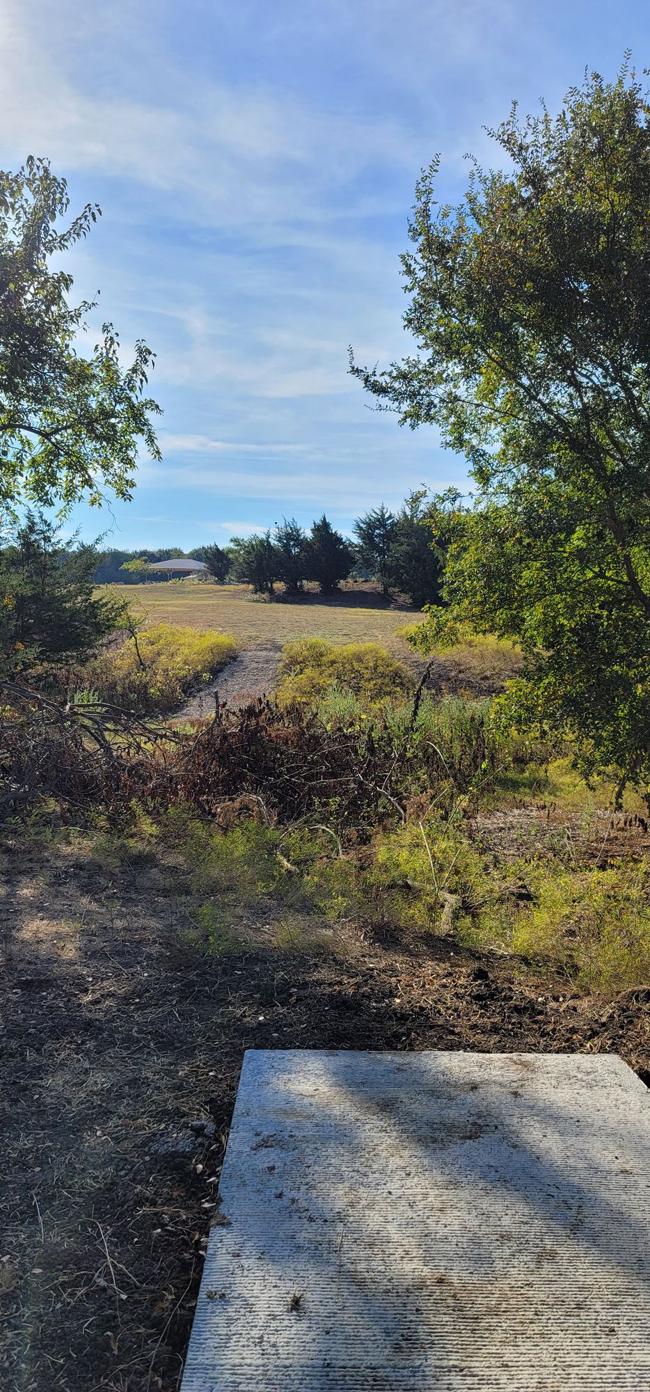 Hole 12 short tee