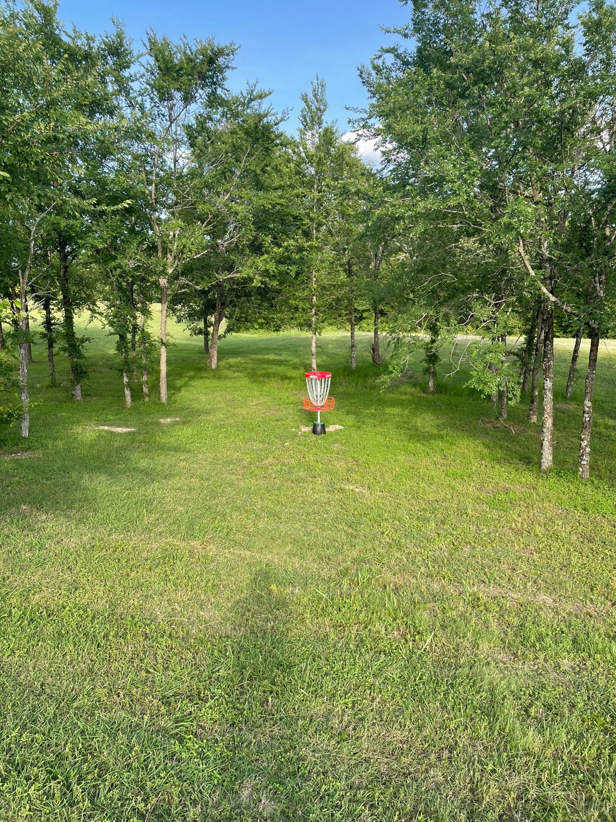 Behind the green of hole 5.