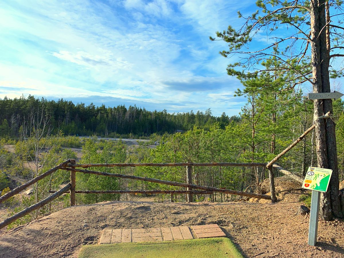 Hilly terrain in sandy and wooded landscape.