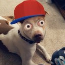 User avatar image