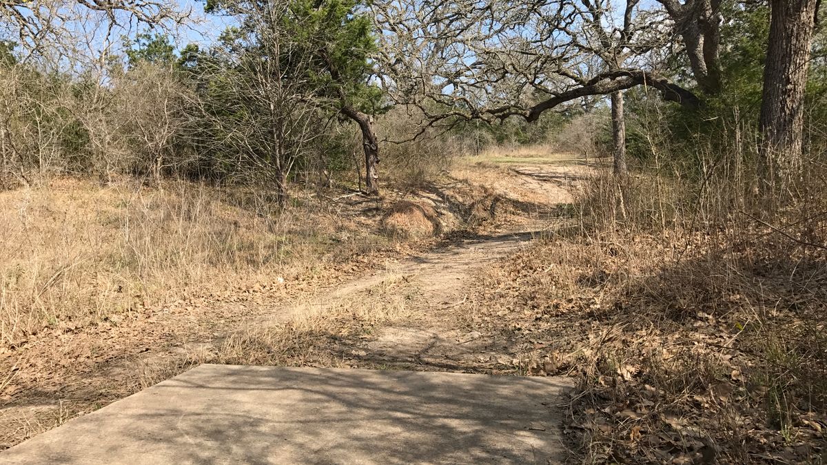 Hole 12