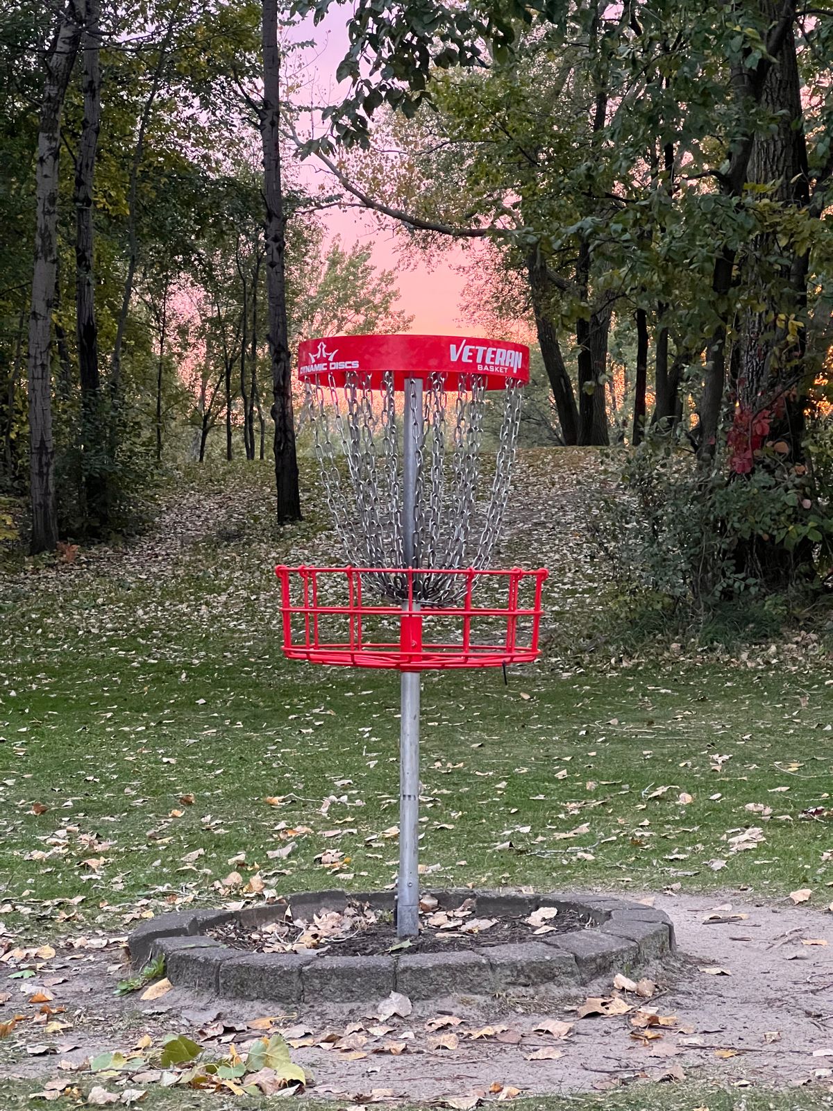 Basket 8/18