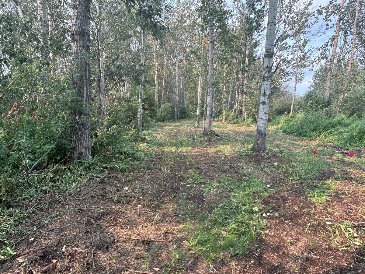 Hole 1 fairway