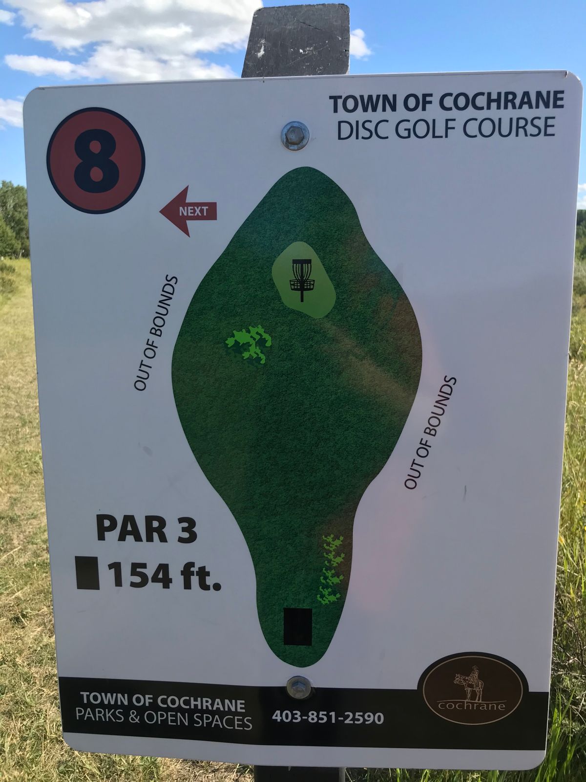 Hole 8 layout
